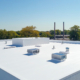 White Two Story Flat Roof Commercial Building