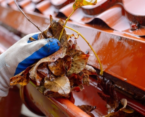 Fall Commercial Roof Maintenance