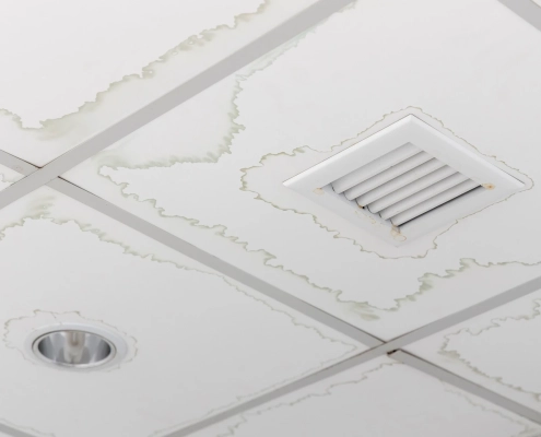 Water stains spreading across commercial ceiling tiles in an office building from an active roof leak above